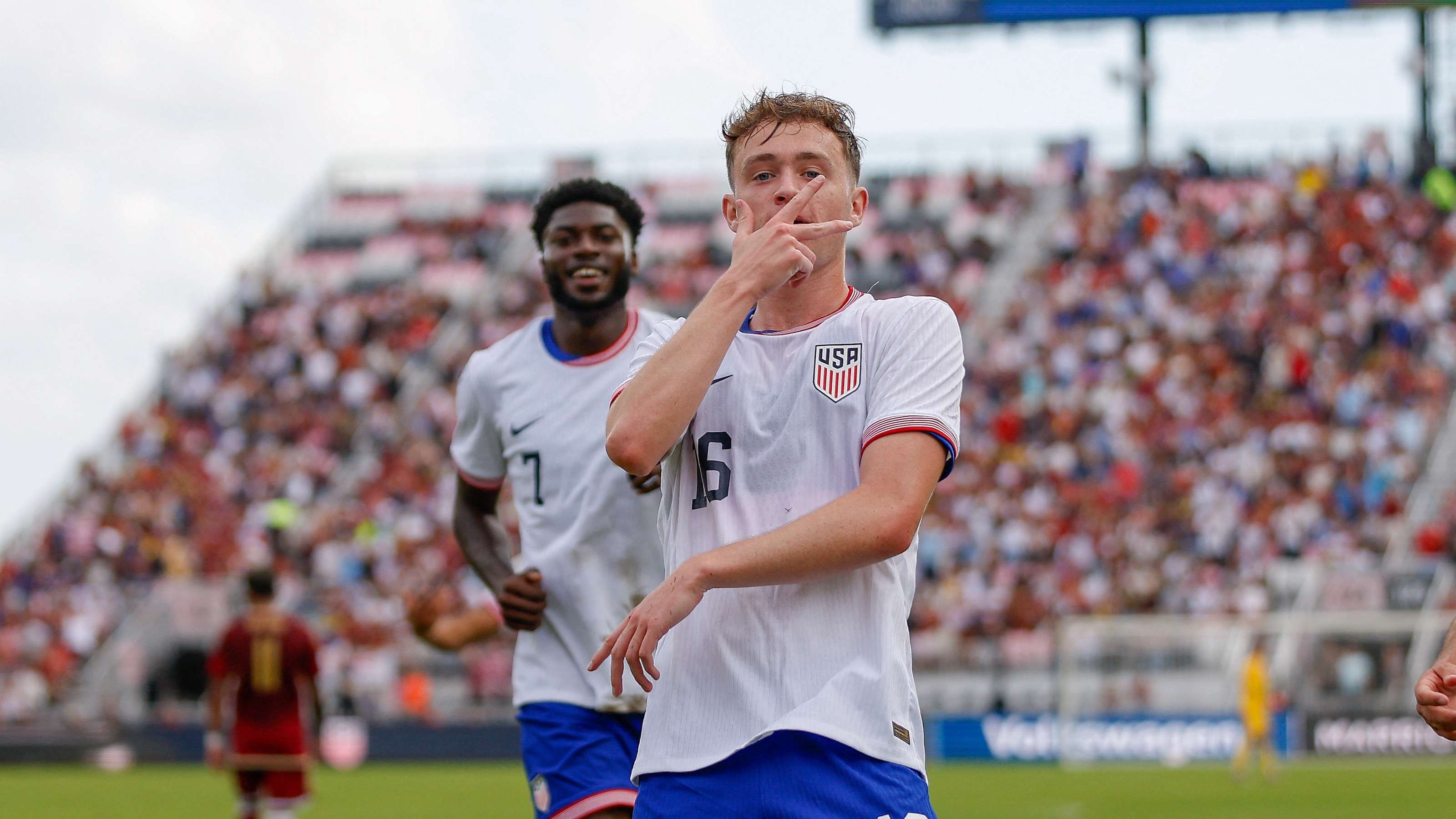 绽放光芒 绽放光芒