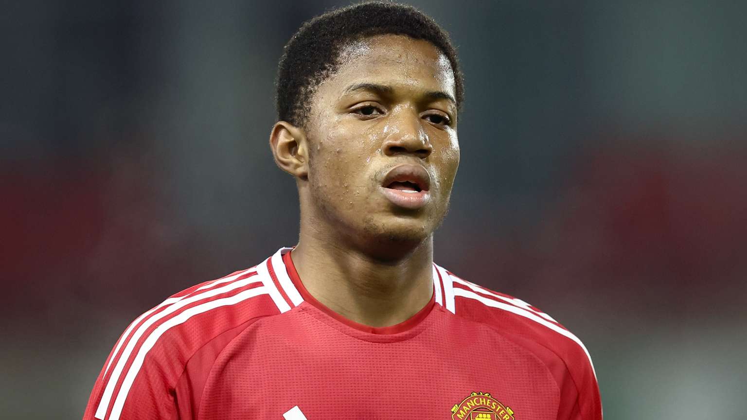 近日圆满落 近日圆满落